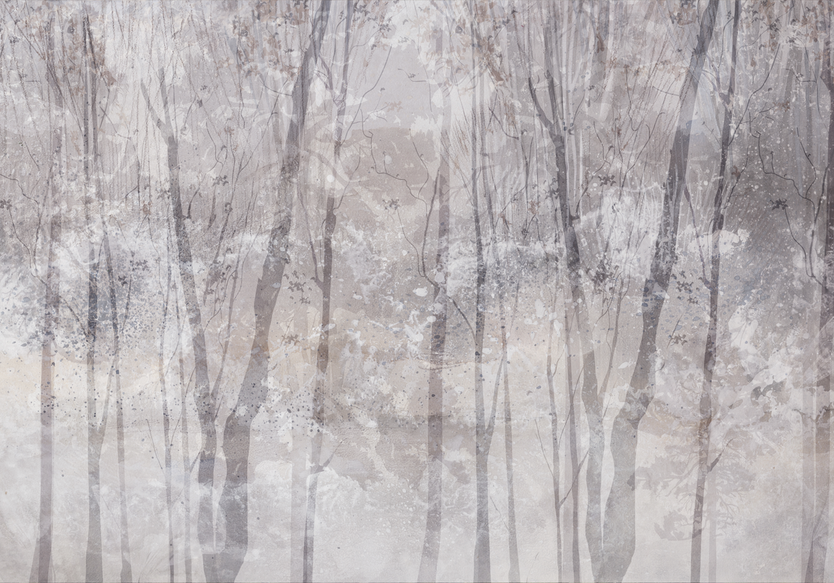Papier peint panoramique forêt de bouleaux blancs