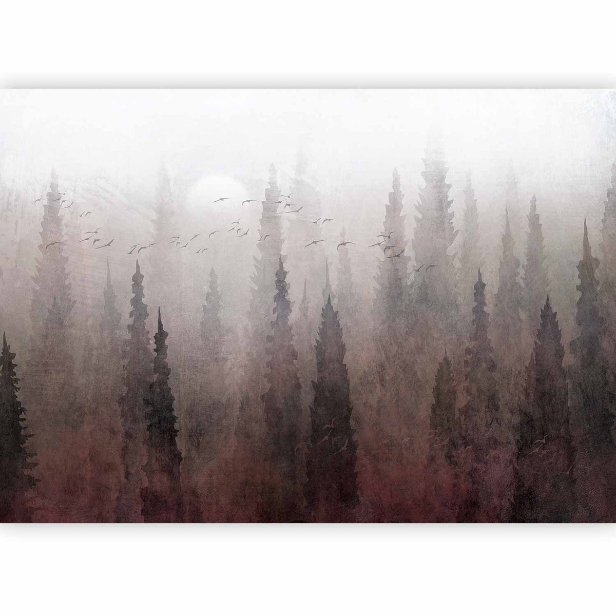 Forêt à l'aube posée dans une chambre