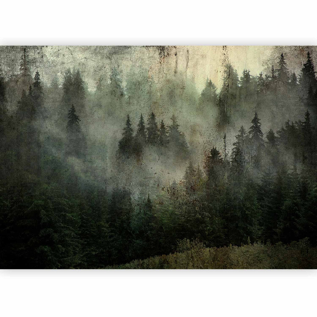 Sapins dans la brume posés dans un salon